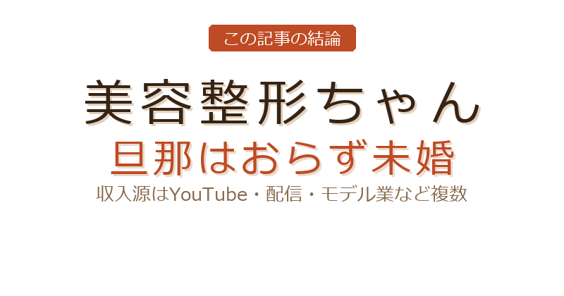 美容整形ちゃんの美容整形ちゃん 収入源についての結論