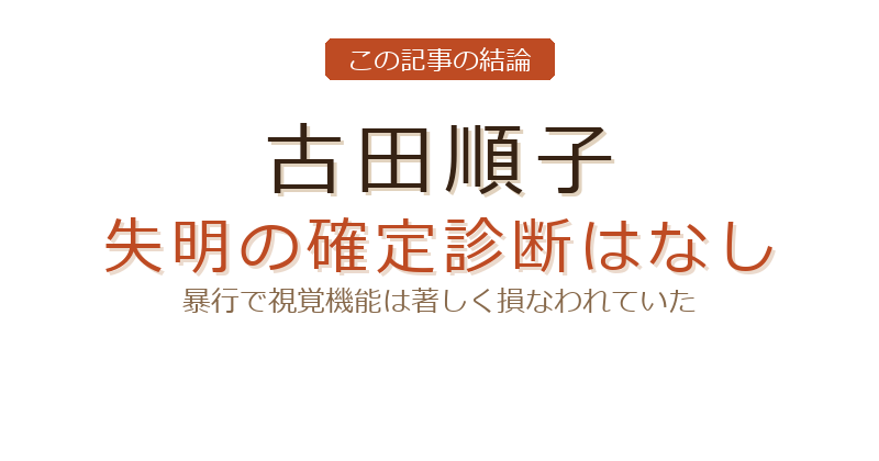 古田順子の古田順子 画像についての結論