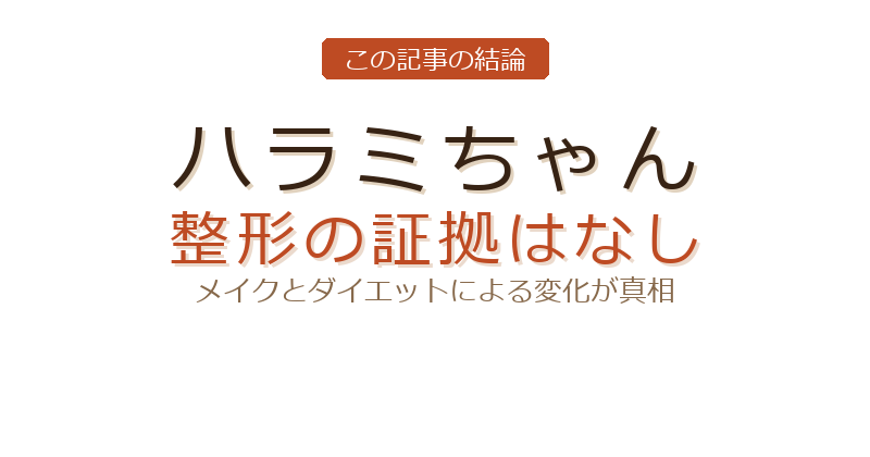ハラミちゃんのハラミちゃん 整形についての結論