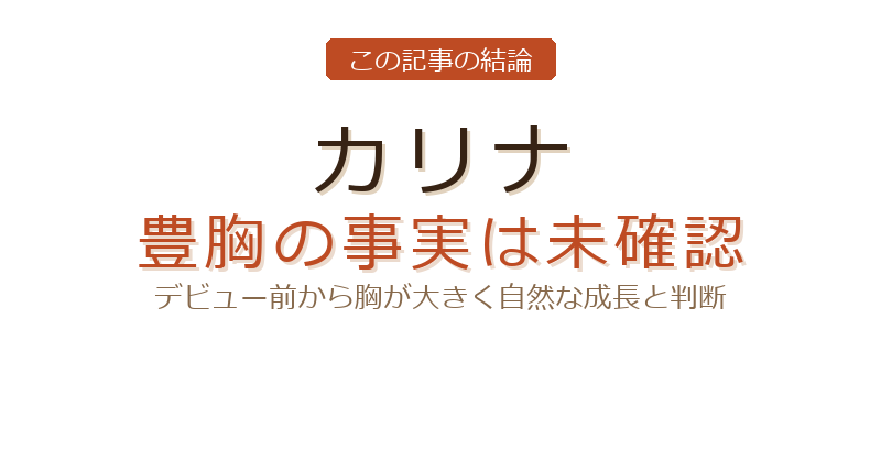 カリナ 豊胸についての結論