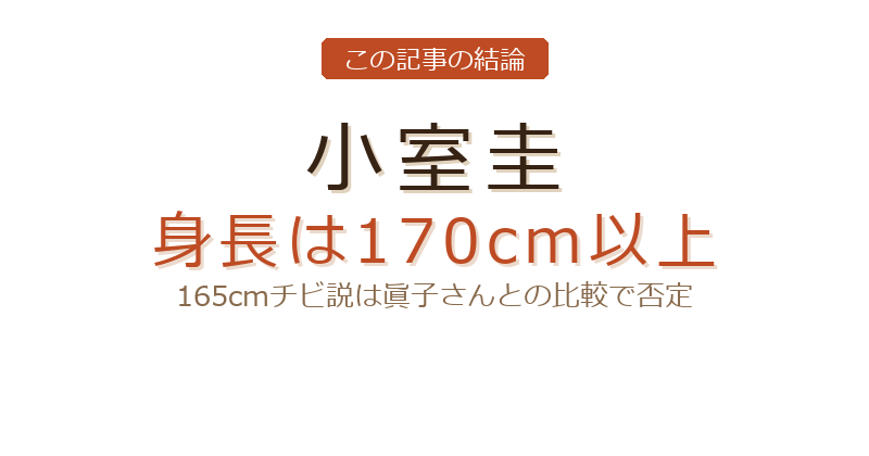小室圭 頭身についての結論